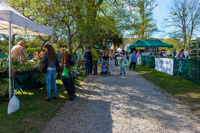 Besucher genießen einen sonnigen Tag auf dem Flohmarkt